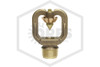 Viking™ VK814 Spray Nozzle | 5.6K | 125 Degree Angle | Brass Finish | 12896AZ