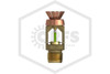Viking™ Frame Style Spray Nozzle | 200F | 2.8K | 60 Degree Angle | Brass Finish | 21373AE