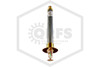 Tyco™ TY3935 Pendent Dry Sprinkler | Standard | QR | Brass | 200F
