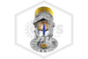 Tyco™ TY5237 Pendent Sprinkler | SR | 11.2K | Chrome | 286F | 51-893-9-286