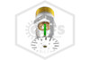 Tyco™ TY5237 Pendent Sprinkler | SR | 11.2K | White | 200F | 51-893-4-200