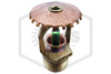Tyco™ TY315 Upright | Brass | 200F | 77-570-1-200 | Hero