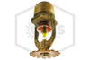 Tyco™ TY323 Pendent | Brass | 175F | Hero | QRFS™