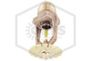 Viking™ VK430 Pendent Sprinkler | Residential | 4.3K | Brass | 175F | 09530AD | QRFS™ | Hero