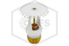 Viking® VK467 Upright Sprinkler | Residential | 4.9K | White | 175F | 19154MD/W | QRFS | Hero