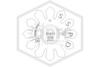 Reliable™ R1013 Model G Pendent Sprinkler | SR | 4.2K | Brass | 165F | GP17B | QRFS™ | Deflector