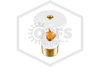 Tyco™ TY3131 White 135F SR Upright 57-370-4-135 Hero Image | QRFS™
