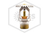 Tyco™ TY3151 White 175F SR Upright 57-570-4-175 Side Image | QRFS™