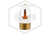 Tyco™ TY4151 White 155F SR Upright 57-590-4-155 Side Image | QRFS™