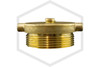 Brass Plug and Chain | FPPI | 2-1/2 in. NST | Cast Brass | Side
