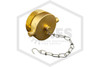 Aluminum Plug and Chain | ASC | 2-1/2 in. NST | Cast Brass | Hero