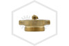 Brass Plug and Chain | ASC | 1-1/2 in. NST | Cast Brass | Side