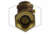 Swing Check Valve | FPPI | 1 in. NPT x NPT | Brass | 250 PSI | Connection