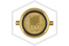 Brass Cap and Chain | FPPI | 2-1/2 in. NST | Cast Brass | Bottom