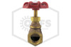 Globe Valve | FPPI | 3/4 in. | Brass | 300 WOG | Connection
