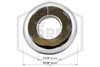 Pipe Wall Plate | FPPI™ | Plastic | Chrome | 1 in. IPS | 1-1/4 in. Inner Diameter