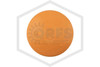 CPVC Standard Cap | 3/4 in. | Blazemaster | V5017-007