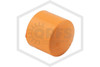CPVC Standard Cap | 2 in. | Blazemaster | V5017-020