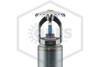 Victaulic™ V3601 Upright Dry Sprinkler | SR | Chrome | 286F | S363AJS42O06010