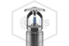 Victaulic™ V3601 Upright Dry Sprinkler | SR | Electroless Nickel | 286F | S363AJS4NX06010