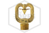 Tyco™ ProtectoSpray D-3 Directional Nozzle | 180 Degree Angle | No. 24 Orifice | .328 in. Minimum Diameter | Stainless Steel | 49-324-0-180