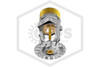 Tyco™ TY5237 Pendent Sprinkler | SR | 11.2K | Chrome | 175F | 51-893-9-175