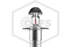 Tyco™ TY3337 Horizontal Sidewall Dry Sprinkler | Standard Escutcheon | QR | Stainless Steel | 155F