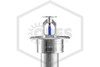 Tyco™ TY3250 Pendent Dry Sprinkler | Recessed Escutcheon | SR | Stainless Steel | 286F