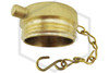 Brass Plug and Chain | 1-1/2 in. NST | Cast Brass