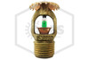 Tyco™ TY315 Upright | Brass | 200F | 77-570-1-200 | Side