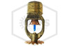 Tyco™ TY323 Pendent | Brass | 286F | Side | QRFS™