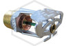 Tyco® TY3331 Sidewall Sprinkler | QR | 5.6K | Chrome | 200F | 57-378-9-200