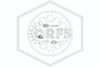 Tyco™ TY3551 Concealed Pendent | 155F | 51-790-1-155 | Deflector