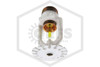 *OBSOLETE* Tyco™ LFII Pendent Sprinkler | TY2234 | Residential | 4.9K | White| 175F | 51-201-4-175