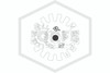 Victaulic™ V2707 Pendent White 155F | S271BCS440 | Deflector | QRFS™