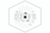 Victaulic™ V2708 Pendent | Chrome | 286F | S271BJQ420 | Deflector | QRFS™