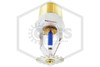 Victaulic™ V3405 Chrome Pendent 286F | S342BJS520 | Hero | QRFS™