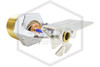 Victaulic™ V3410 Chrome Horizontal Sidewall 286F | S342CJQ520 | Hero | QRFS™