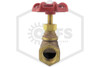 Globe Valve | 1/2 in. | Brass | 200 WOG | Threads Image | QRFS