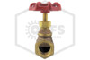 Globe Valve | 1/2 in. | Brass | 200 WOG | Threads Image | QRFS™
