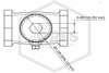 Swing Check Valve | 3/4 in. NPT x NPT | Brass | 200 PSI