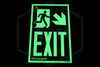 Egress Path Sign | Photoluminescent |  "EXIT" with Right Diagonal Arrow and Icon | 8 in. x 12 in.