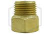 Sprinkler Extension | Brass | 1/2 in. Length x 1/2 in. NPT | QRFS™ | Side