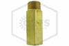 Sprinkler Extension | Brass | 2 in. Length x 1/2 in. NPT | QRFS | Side