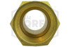 Sprinkler Extension | Brass | 3/4 in. Length x 3/4 in. NPT | QRFS | Female