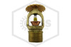 Tyco™ TY315 Upright | Brass | 175F | 77-570-1-175 | Side