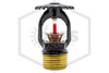 Tyco™ TY313 Upright Sprinkler | QR | 5.6K | Black | 155F | 77-370-5-155 | Side