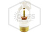 Tyco™ TY3331 Sidewall White 175F | 57-378-4-175 | Side | QRFS™