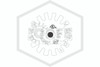 Victaulic™ V2707 Black Pendent 286F | S271BJS4B0 | Deflector | QRFS™