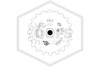 Victaulic™ V3402 Upright Sprinkler | Black | 200F | QRFS™ | Deflector